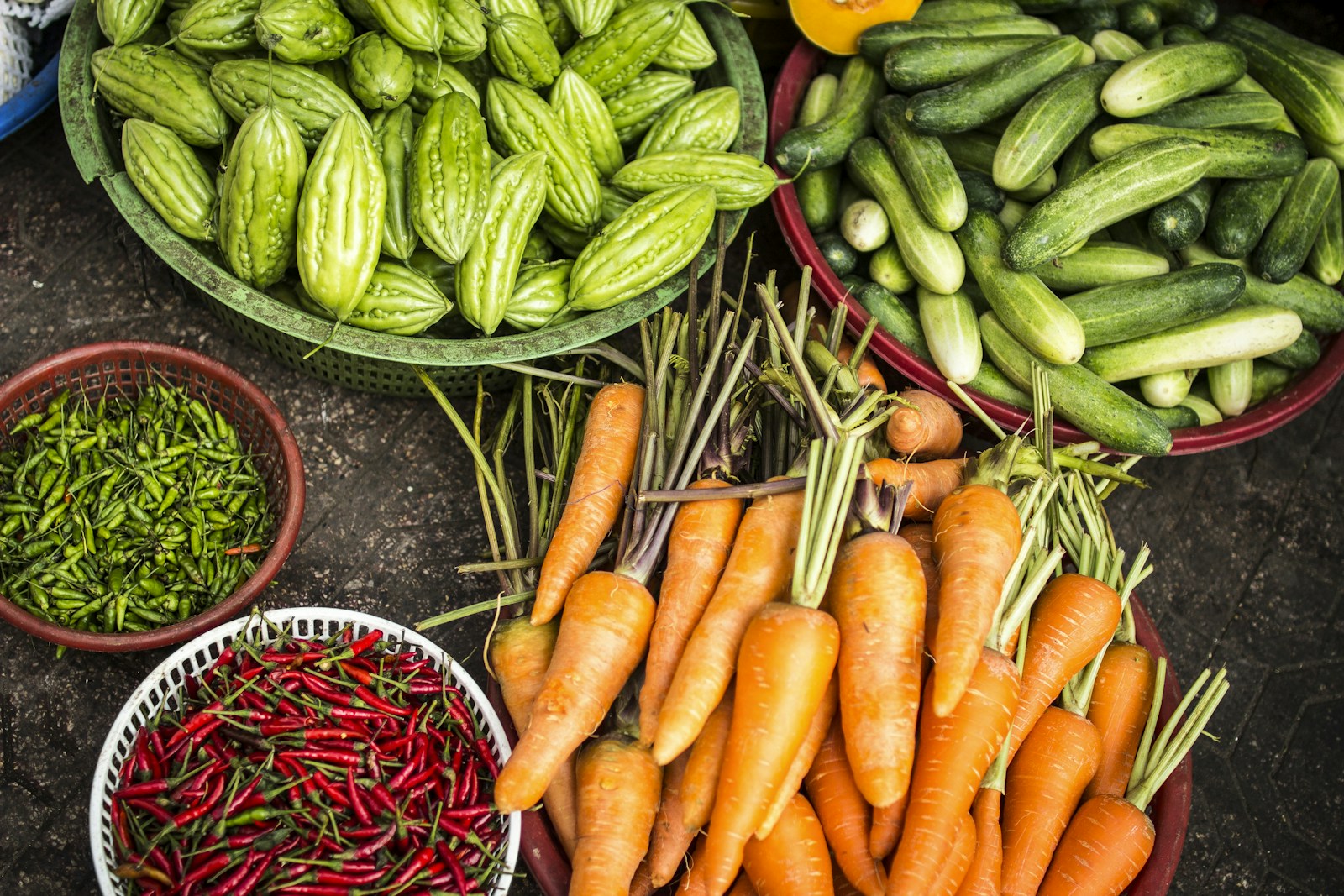 Junge Pflanzen in einem landwirtschaftlichen Beet