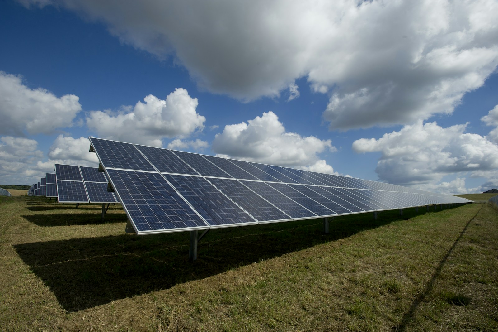 Solarmodule unter blauem Himmel